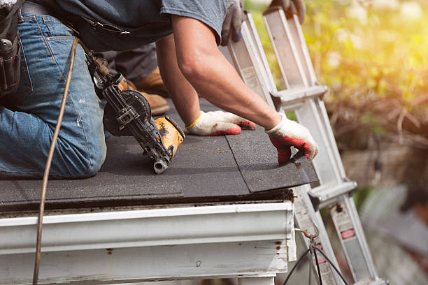 Best Storm Damage Roof Repair  in Round Lake Beach, IL